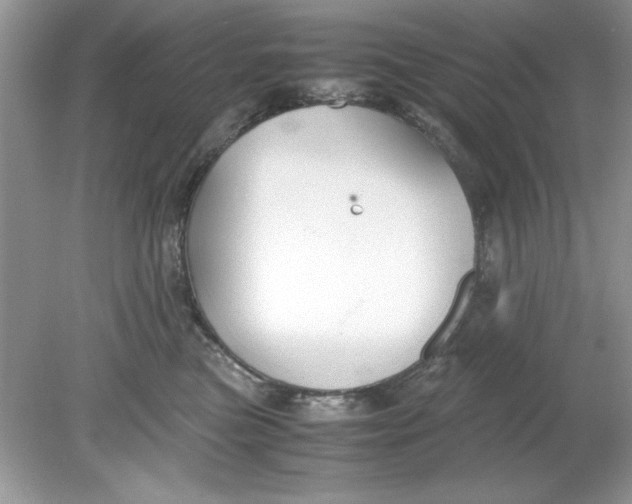 X0000078880473200612042029