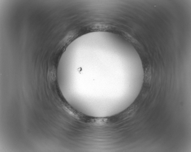 X0000078880474200612042029