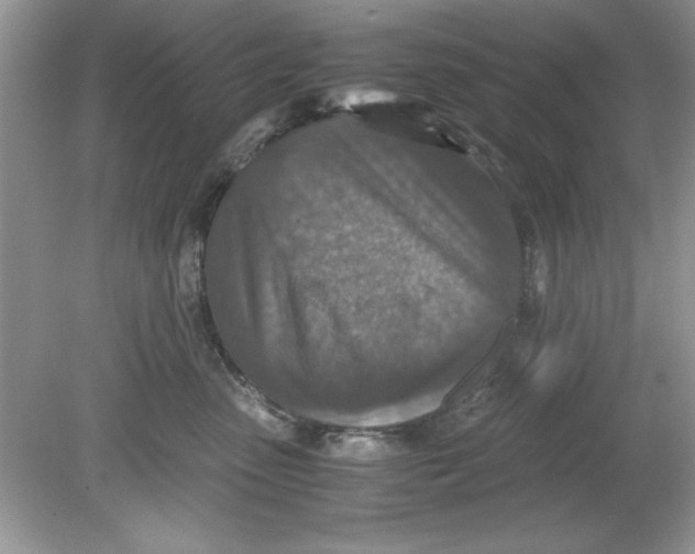 X0000078880475200612042029