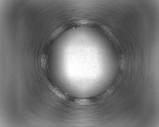 X0000078880476200612042029