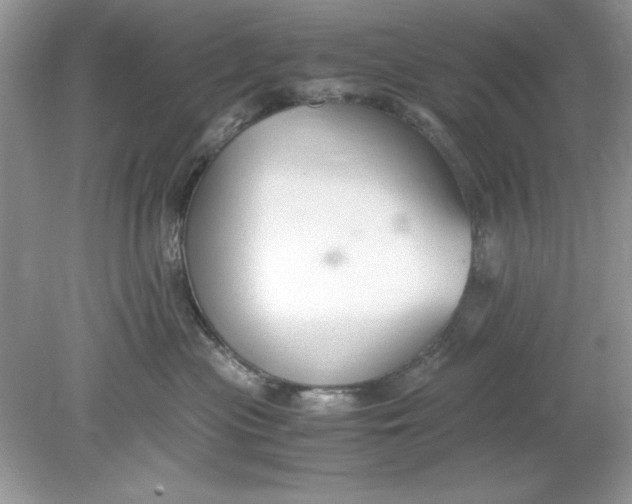 X0000078880477200612042029