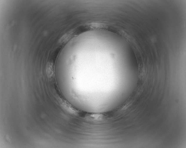 X0000078880478200612042029