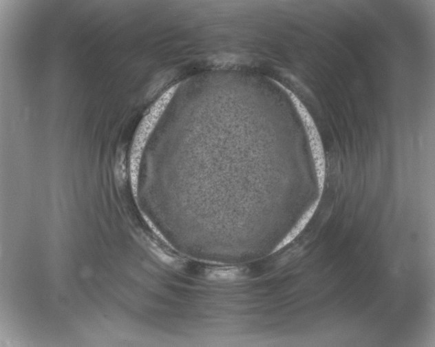 X0000078880479200612042029