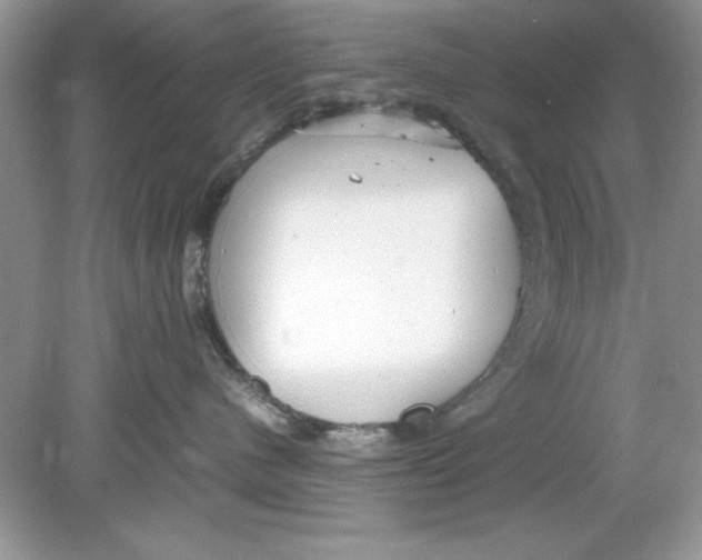 X0000078880480200612042029