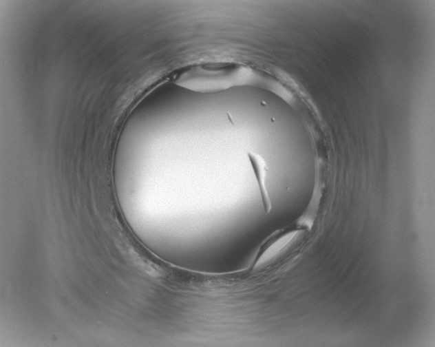 X0000078880481200612042028