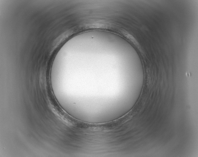 X0000078880482200612042028