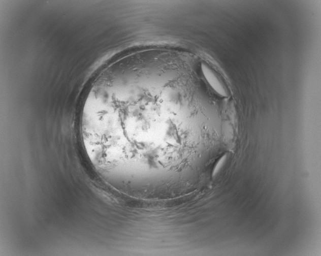 X0000078880483200612042028