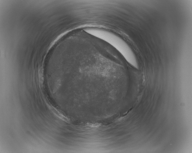 X0000078880484200612042028