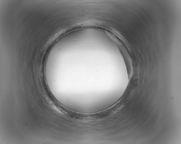 X0000078880485200612042028