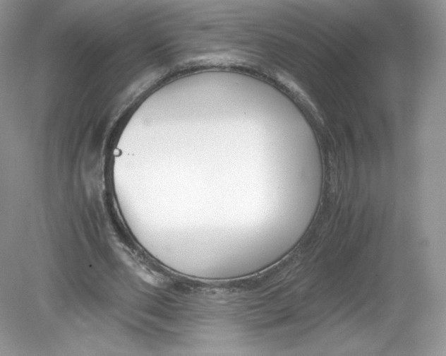 X0000078880486200612042028