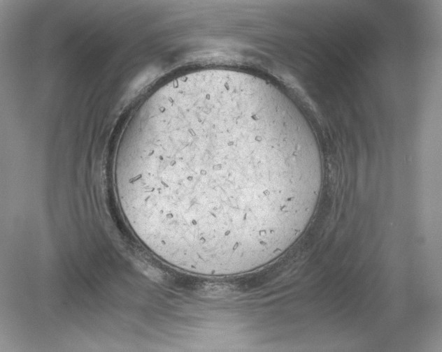 X0000078880487200612042028