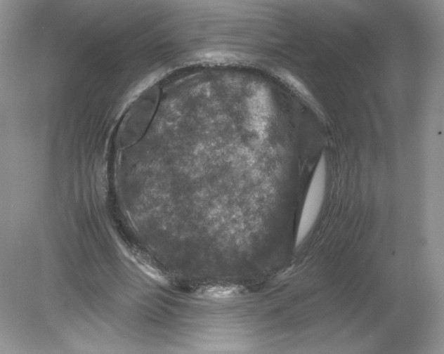 X0000078880488200612042028