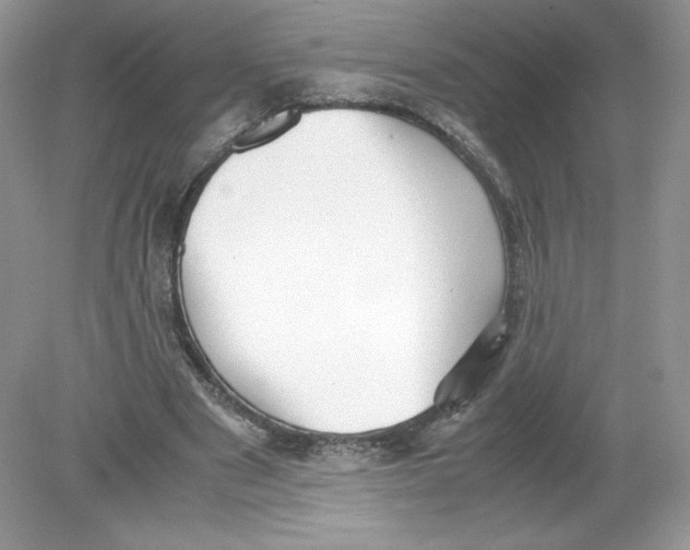 X0000078880489200612042028