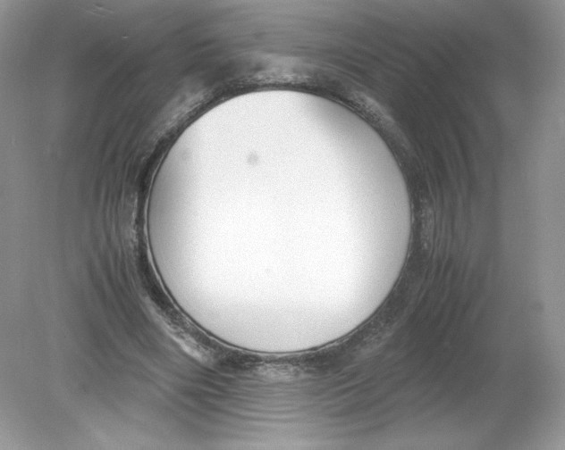 X0000078880490200612042028