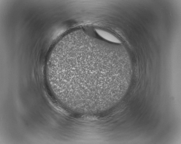 X0000078880491200612042028