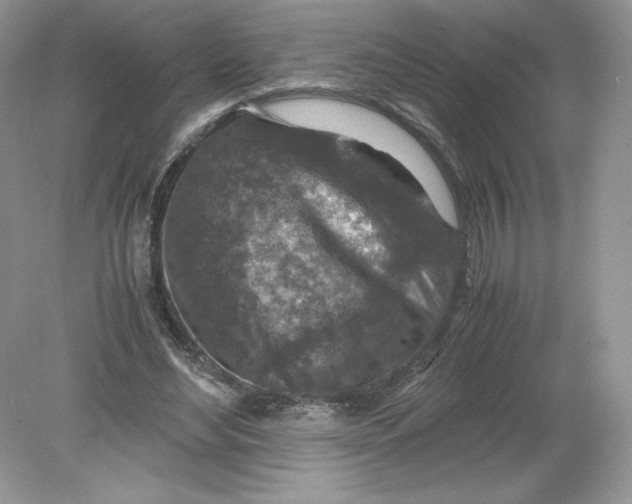 X0000078880492200612042028