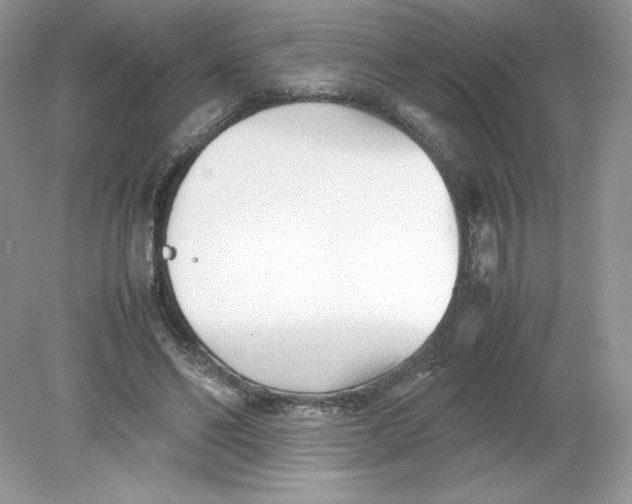 X0000078880494200612042028