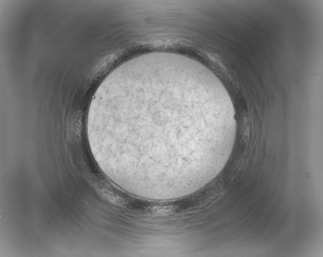 X0000078880495200612042028