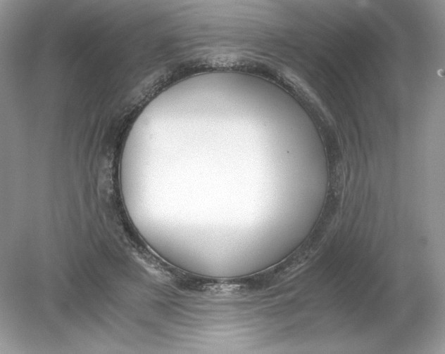 X0000078880497200612042028