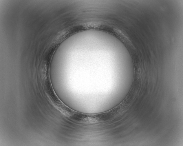 X0000078880498200612042028