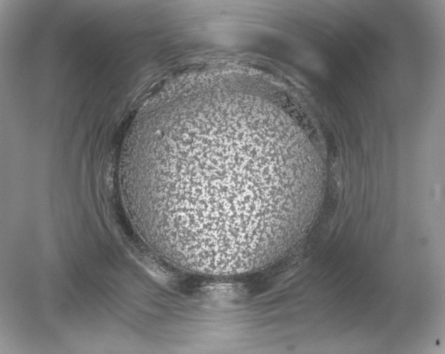 X0000078880499200612042028