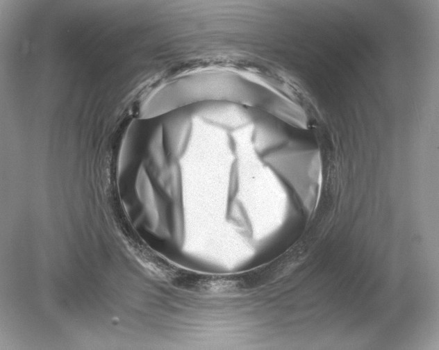 X0000078880501200612042028