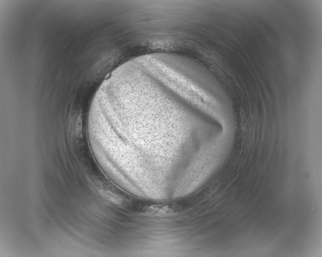 X0000078880502200612042028