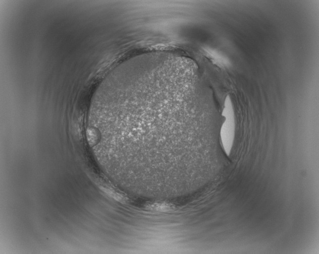 X0000078880503200612042028