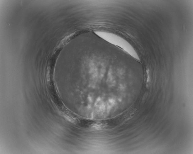 X0000078880504200612042028