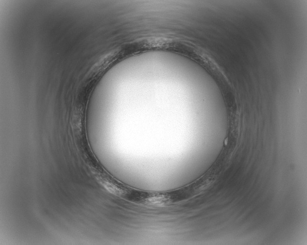 X0000078880505200612042028