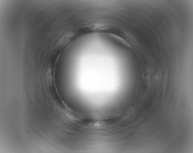 X0000078880506200612042028