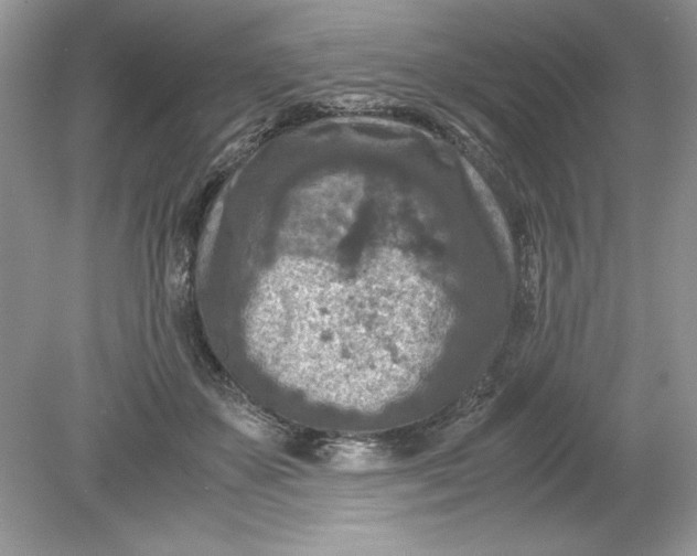 X0000078880507200612042028