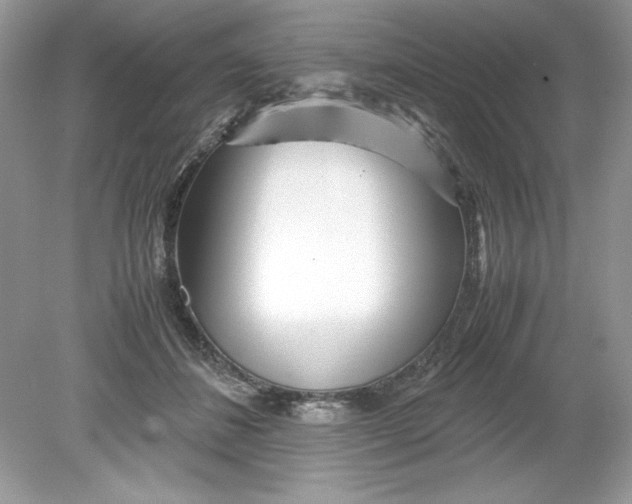 X0000078880508200612042028