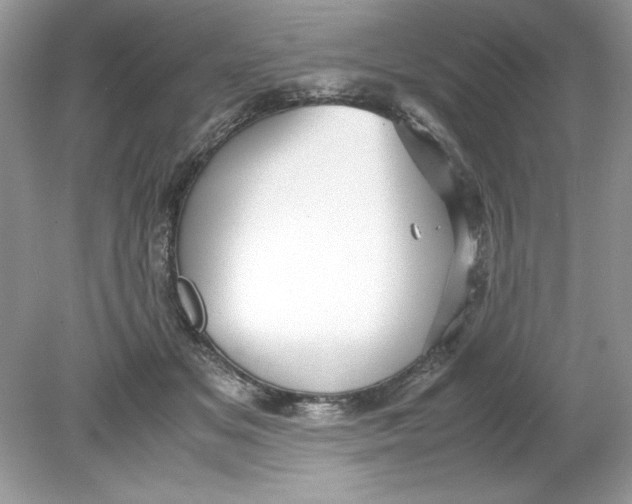 X0000078880509200612042028