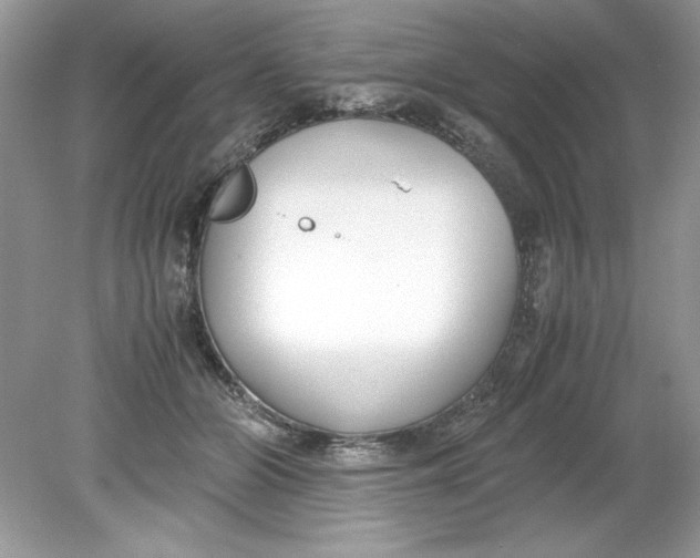 X0000078880510200612042028