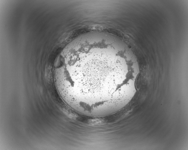 X0000078880511200612042028