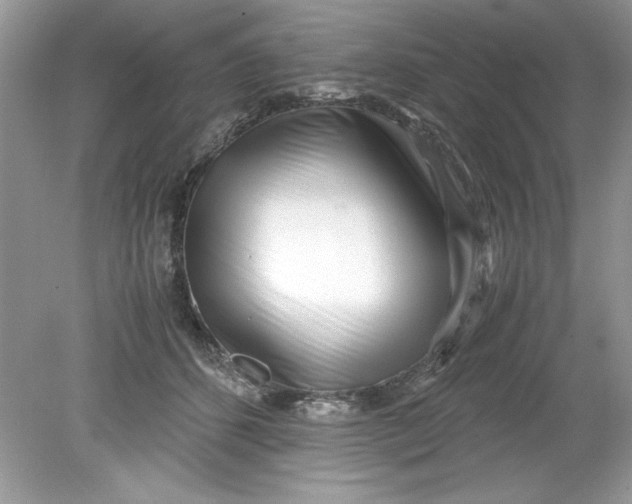 X0000078880512200612042028