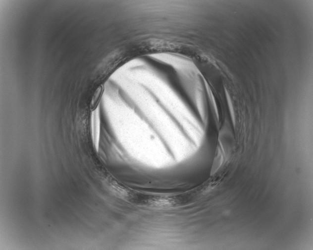 X0000078880513200612042027