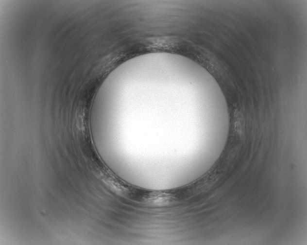 X0000078880514200612042027