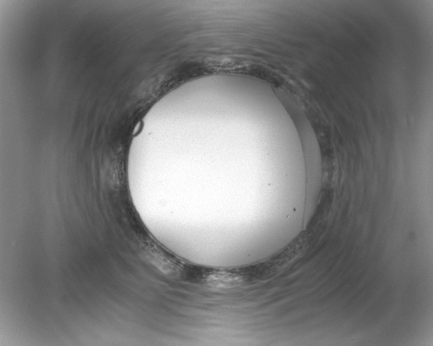 X0000078880515200612042027