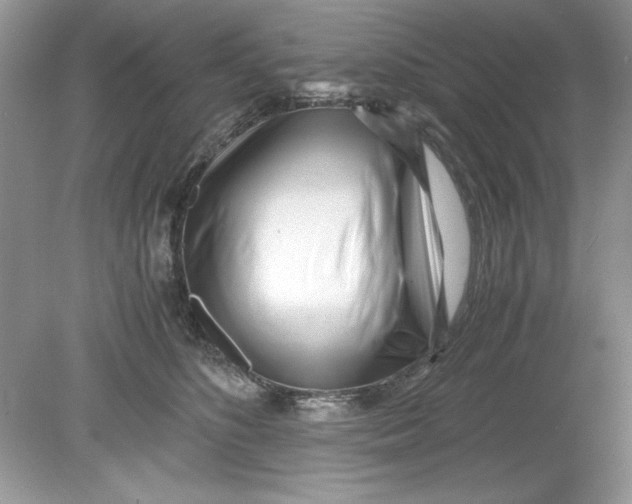 X0000078880516200612042027