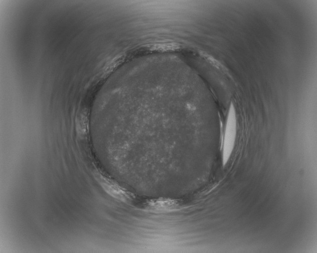 X0000078880517200612042027