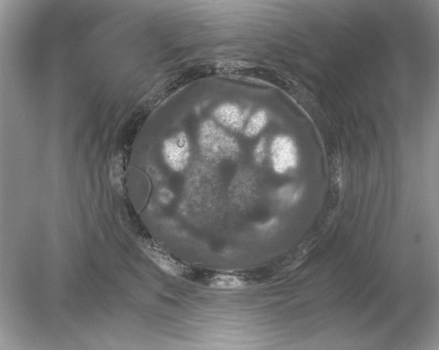 X0000078880519200612042027