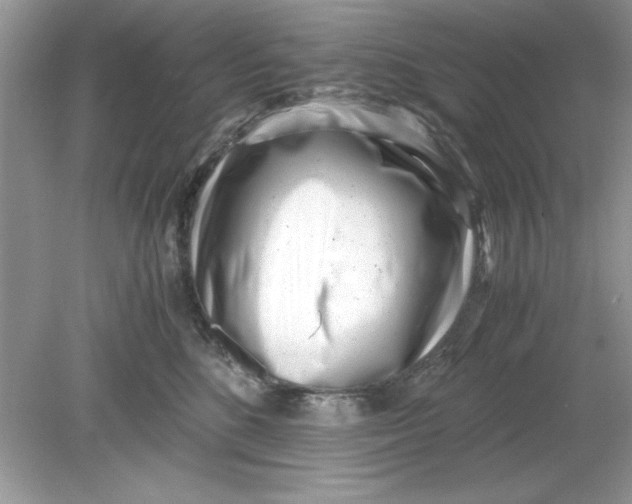 X0000078880520200612042027