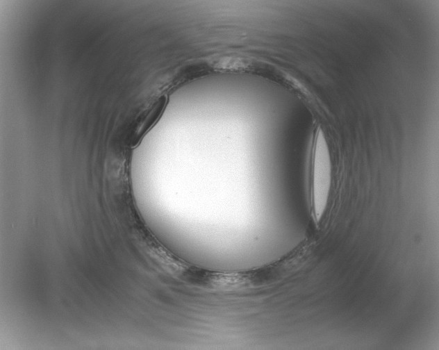 X0000078880521200612042027