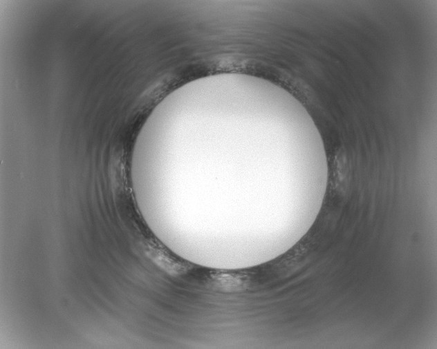 X0000078880522200612042027