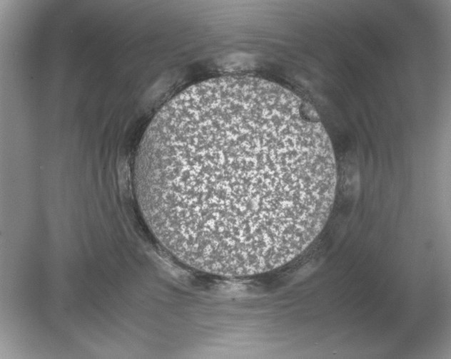 X0000078880523200612042027