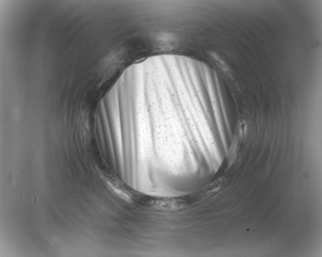 X0000078880524200612042027