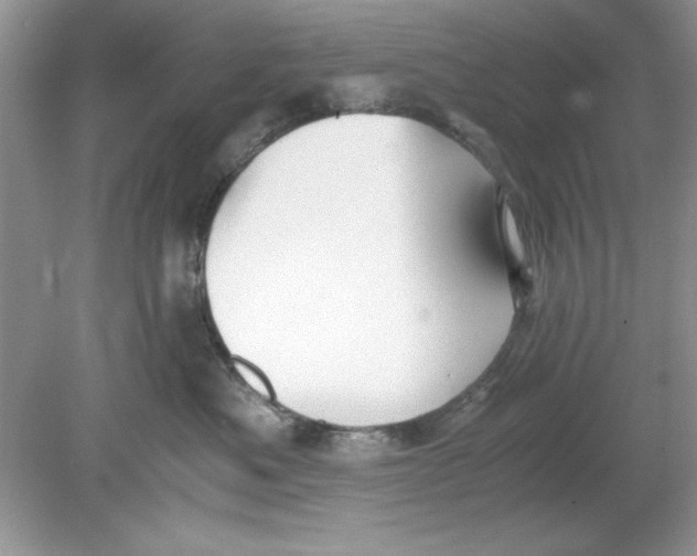 X0000078880525200612042027