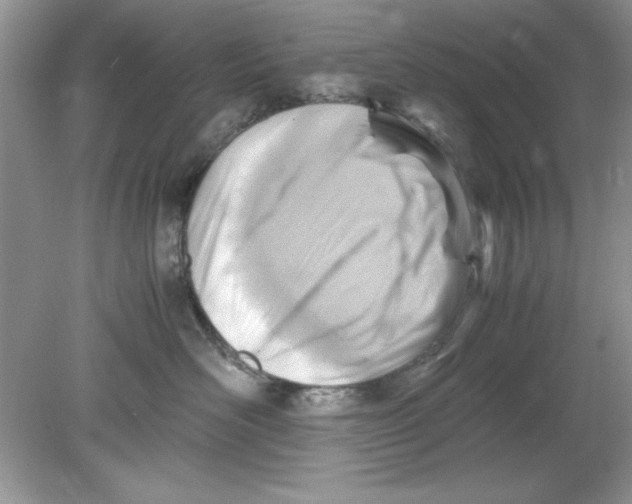 X0000078880526200612042027